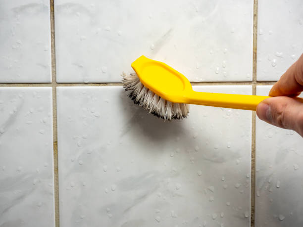 Best Health and Safety Mold Remediation in Brunswick, GA