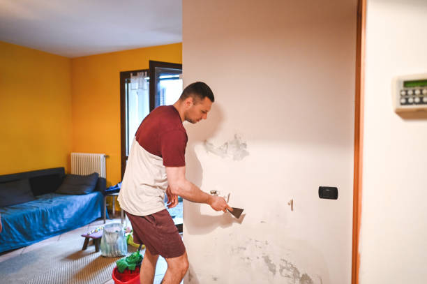 Best Localized Mold Remediation (e.g., coastal areas, humid climates) in Brunswick, GA